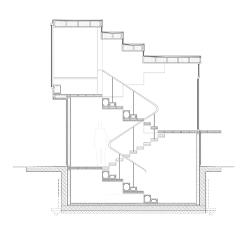 logitudinal section 1